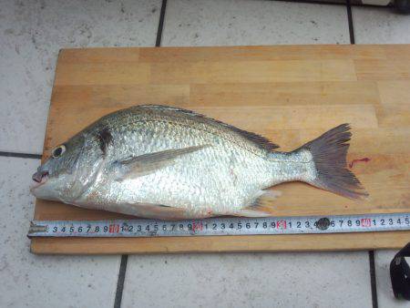 まるちよう海上釣堀