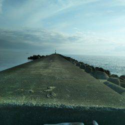 阿南市の大野突堤でタチウオ