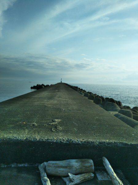 阿南市の大野突堤でタチウオ