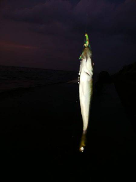 ジグサビキ、ワインド