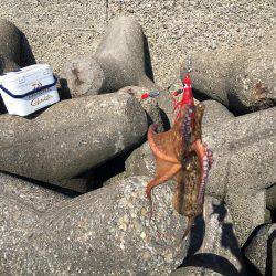 仕事終わりにオクトパッシング