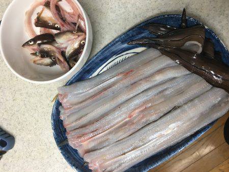 続ニョロニョロ