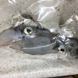 ケンちゃんは付き合いが悪い。