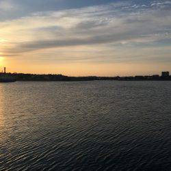 入れ食いながらも