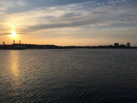 入れ食いながらも