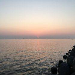 2017.07.08 福浦テトラ ガシリング