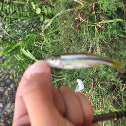 ちょっと暇つぶし