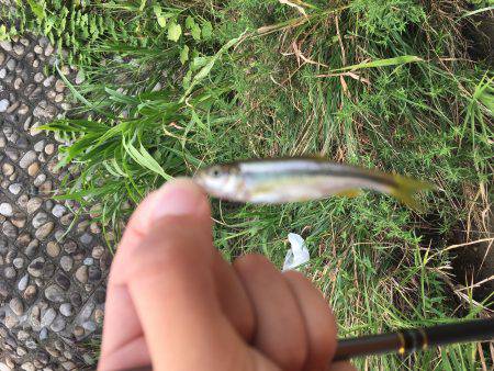 ちょっと暇つぶし