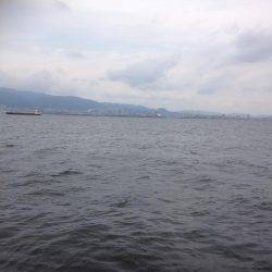 再・安定のタコ釣り15