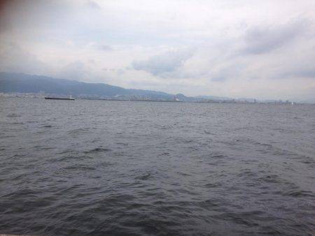 再・安定のタコ釣り15