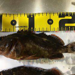 ライトワインド in 神戸沖堤防