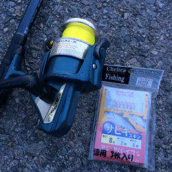 アジ釣り⑬ 今シーズン初めての夕方