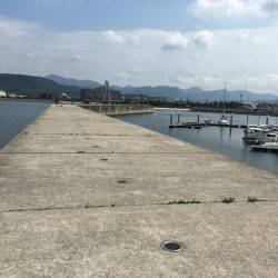 炬口漁港で42センチ大サバ