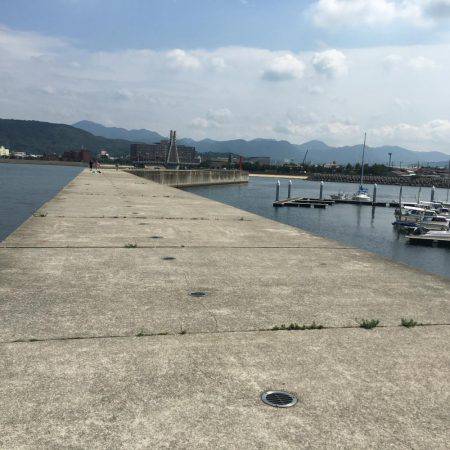 炬口漁港で42センチ大サバ