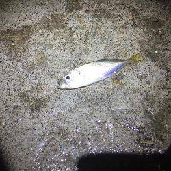 台風後の釣行〜