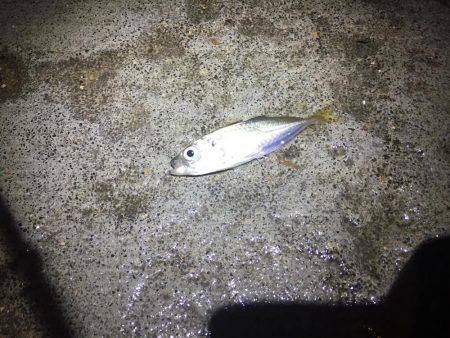 台風後の釣行〜