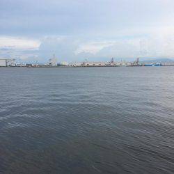 タコエギ初挑戦