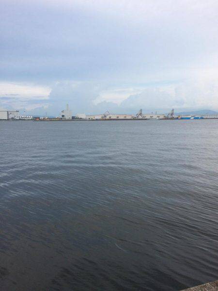 タコエギ初挑戦