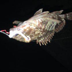 外道王 崇之 （￣+ー￣）ふっ