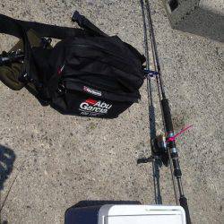 LSJ &オクトパッシング