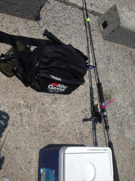 LSJ &オクトパッシング