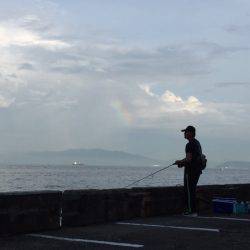 ツバス釣れましたが