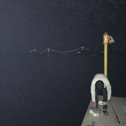 タコ、マツイカ