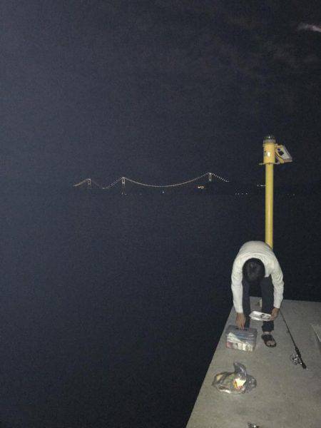 タコ、マツイカ