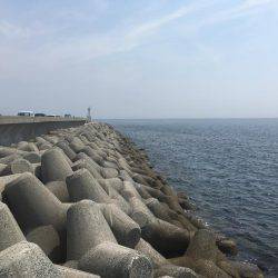 アナゴ&ガシラからのサバ