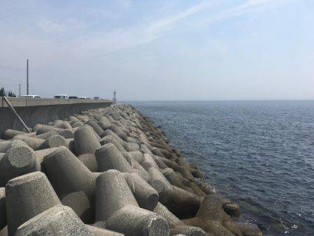 アナゴ&ガシラからのサバ