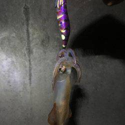 1年ぶりのお楽しみ