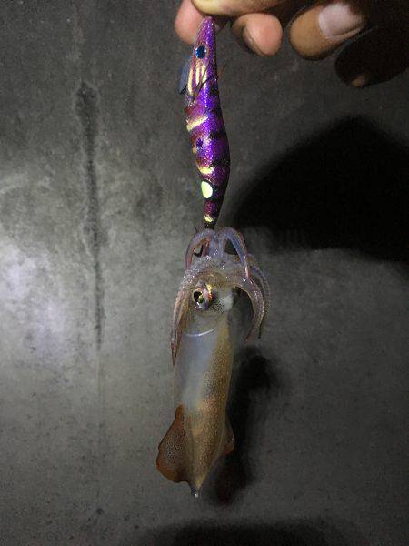 1年ぶりのお楽しみ