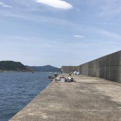 なんとかシイラ。。