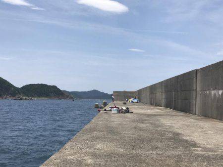 なんとかシイラ。。