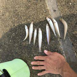 おかま海岸でつり