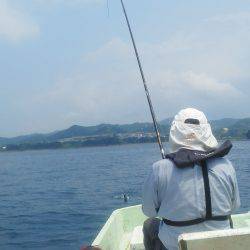 カッオ・・・・・良く引くは・・・