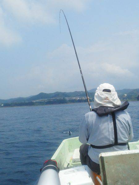 カッオ・・・・・良く引くは・・・