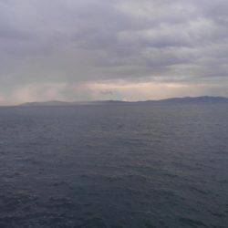 ツバスからのタコ