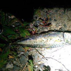 そろそろ終わりメバリング