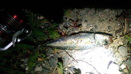 そろそろ終わりメバリング