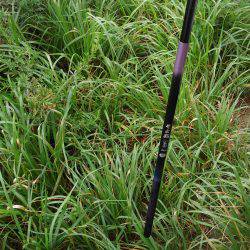 テナガエビのはずが…