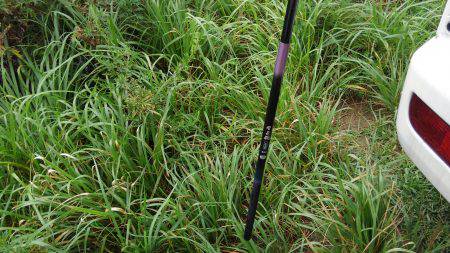 テナガエビのはずが…