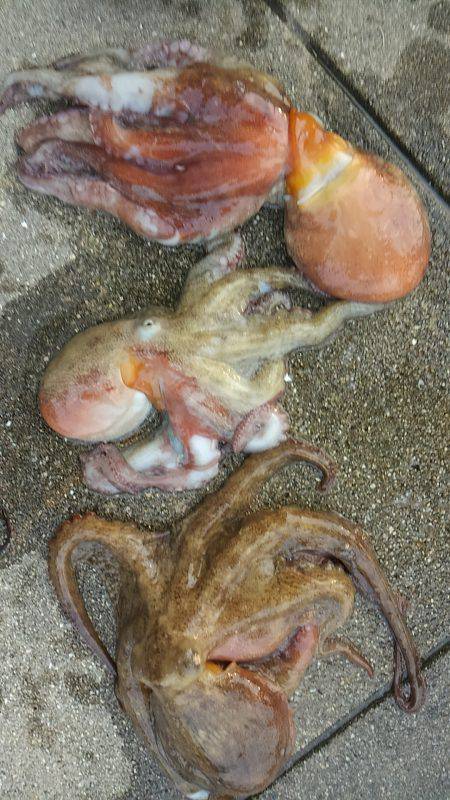 ぼくの夏休みパート2