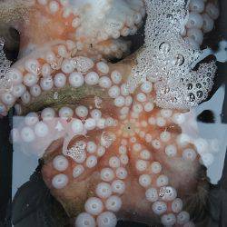 ぼくの夏休みパート6