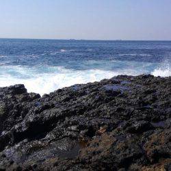 二週連続ホゲホゲ