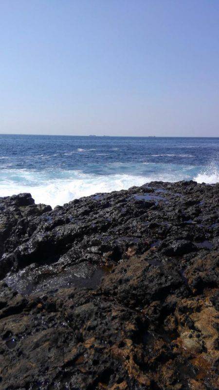 二週連続ホゲホゲ