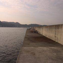 仕事帰りのタコ釣り