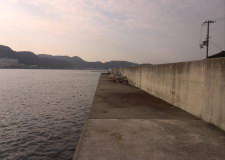 仕事帰りのタコ釣り