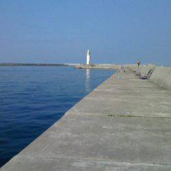 魚以外がよく釣れる・・・