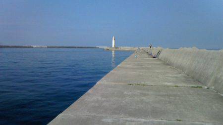 魚以外がよく釣れる・・・